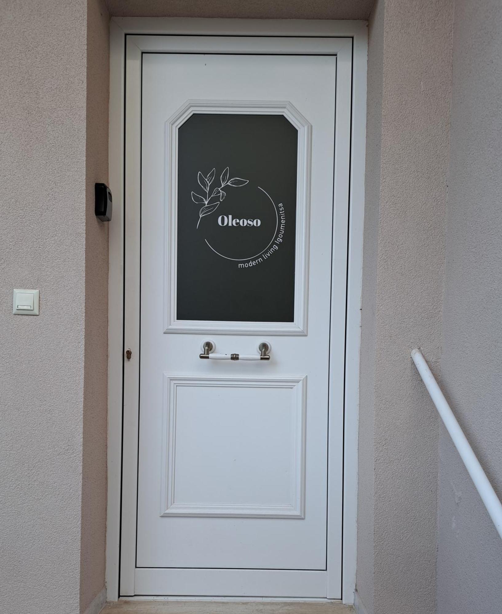 Appartement Oleoso à Igoumenítsa Extérieur photo